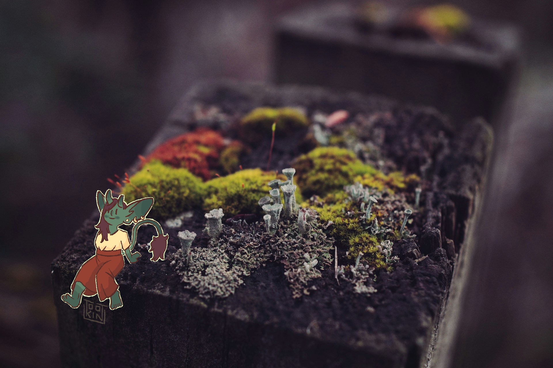 desc: goblin drawn on a photo taken by Alvin Engler